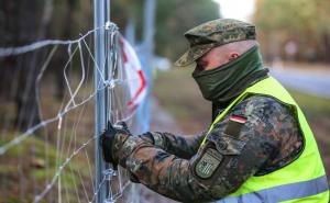 Afrikanische Schweinepest: Amtshilfe mit Reservisten in Sachsen