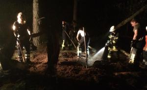 Wald- und Moorfläche brennt in Tiste