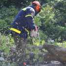 Ein umgestürzter Baum war einer der Schäden, die während der Übung...