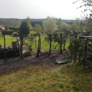 Heckenbrand-1