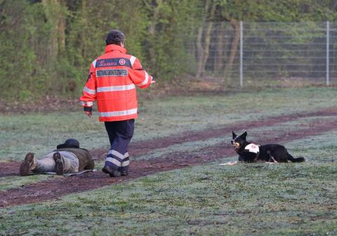 Anzeigeübung bei der Prüfung zum Rettungshund