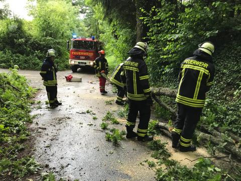 Nach dem Unwetter beseitigte die Feuerwehr einen umgekippten Baum von der...