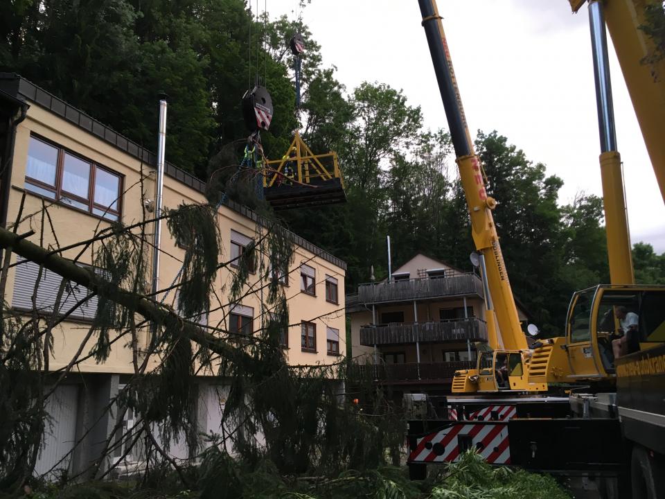 Vor dem Gebäude wird der Baum abgelegt.