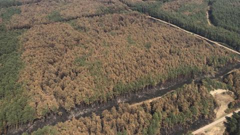 Waldbrandgebiet bei Lübtheen aus der Luft