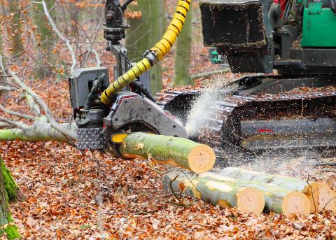 Arbeitsgerät für die Kontrolle im Waldbestand