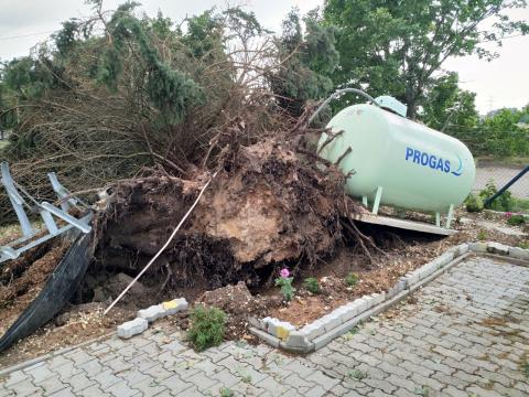Unwetter Böhl-Iggelheim