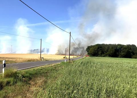 In Nideggen-Berg kam es zu einem Feld und Waldbrand