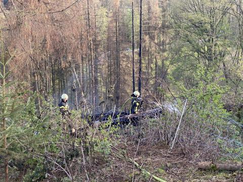 Einsatzkräfte bei der Waldbrandbekämpfung