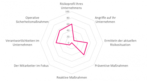 Darstellung der Ergebnisse einer Cyber-Sicherheitsanalyse.