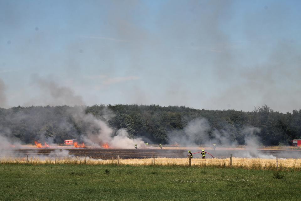 Brandbekämpfung bei einem großen Feldbrand