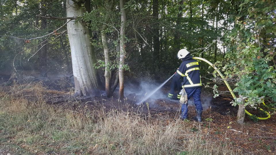 Einsatzkräfte löschen einen Waldbrand.
