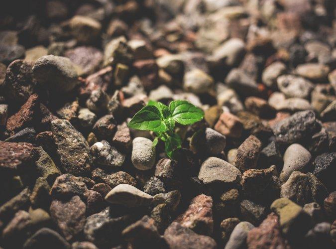 Klimaanpassung ist vorausschauendes Handeln
