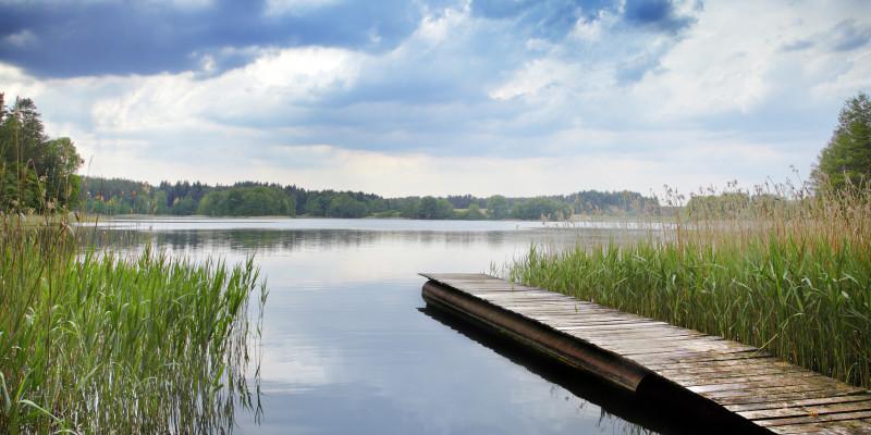 Nach der EU-Wasserrahmenrichtlinie sollen die Gewässer bis 2027 in einem guten...