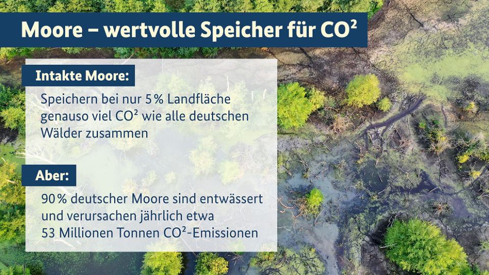 Die Bundesregierung setzt sich für den Schutz intakter Moore, die...