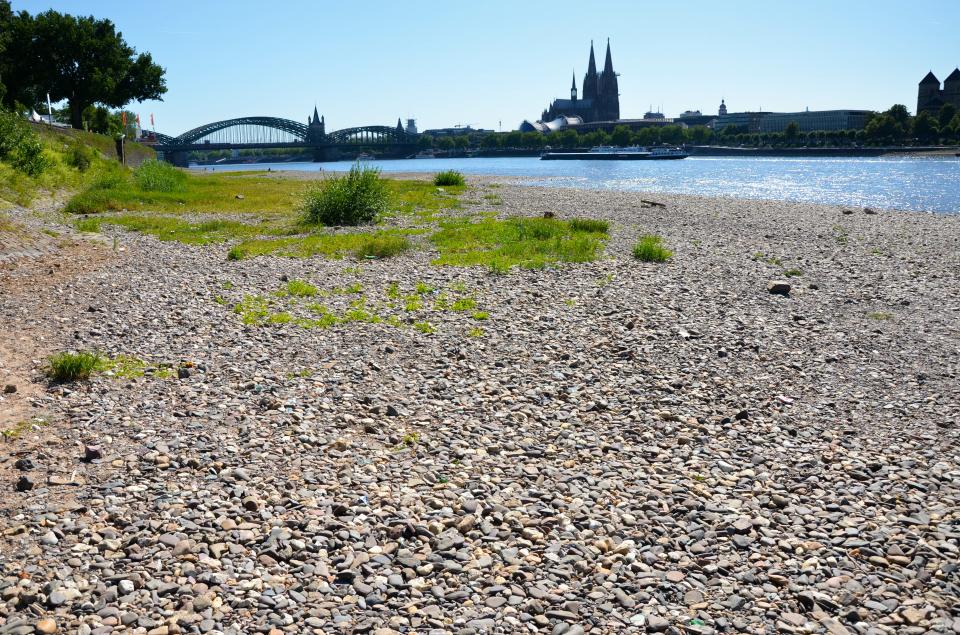 Ausbleibende Niederschläge vor allem im Sommer und Herbst führen zu...