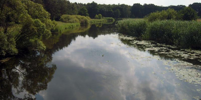 Die Spree bei Mönchwinkel in der Nähe von Berlin.