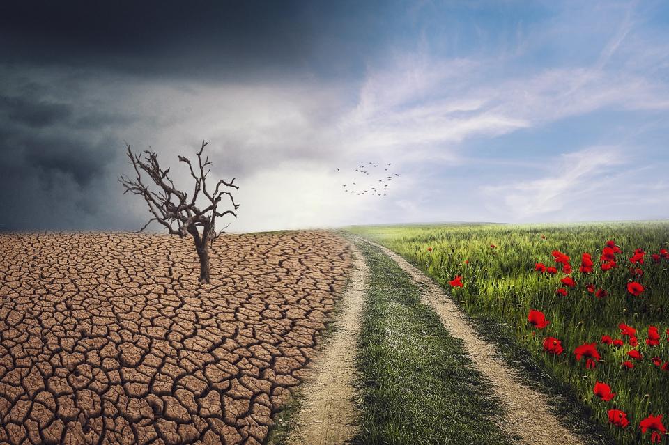 Einfluss des Klimawandels auf die UV-Belastung