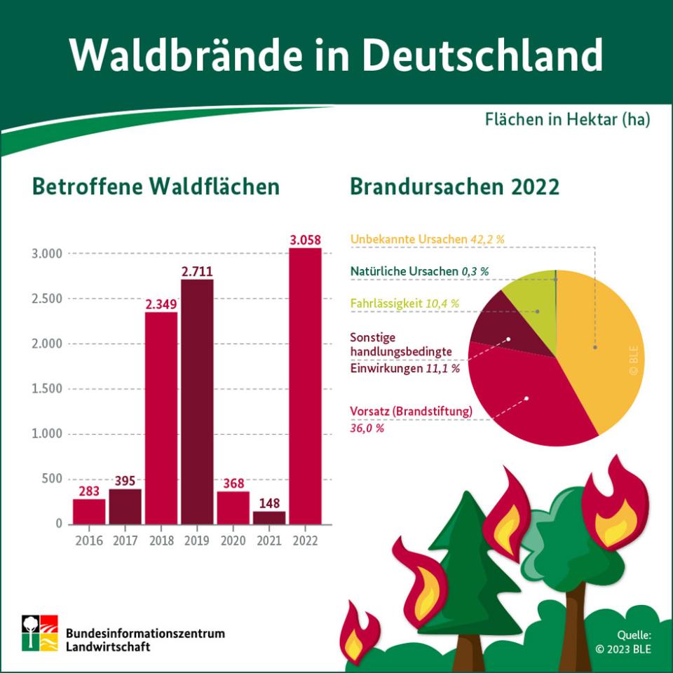 Die verbrannte Waldfläche lag 2022 mehr als dreimal so hoch wie der jährliche...