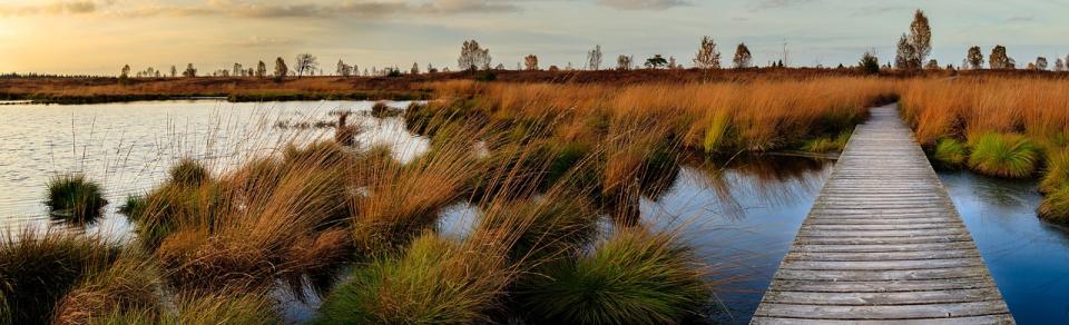 Klimaschutz mit Naturschutz verbinden