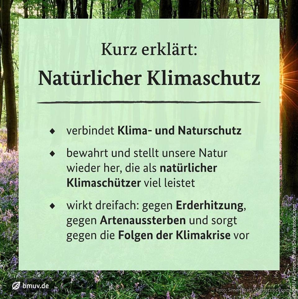 Klimaschutz mit Naturschutz verbinden