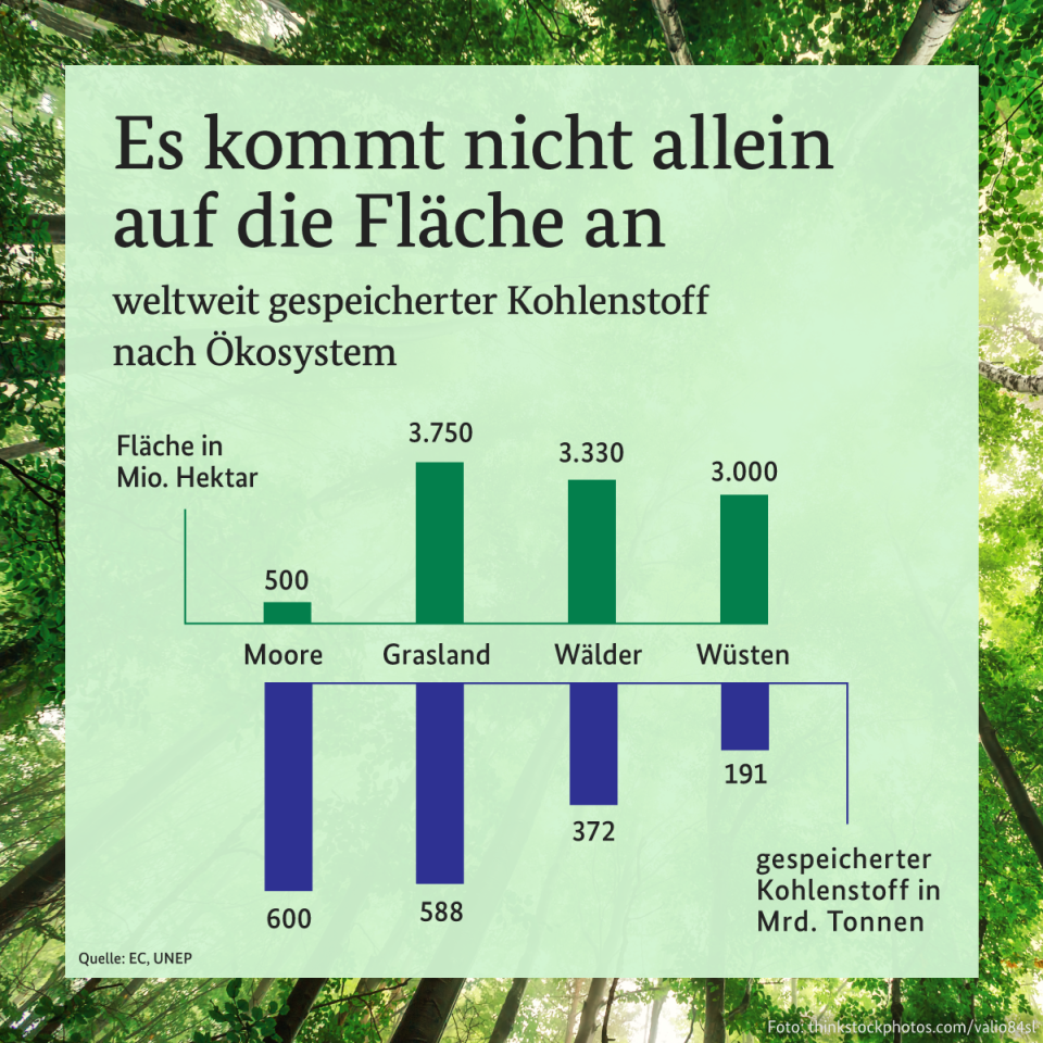 Klimaschutz mit Naturschutz verbinden