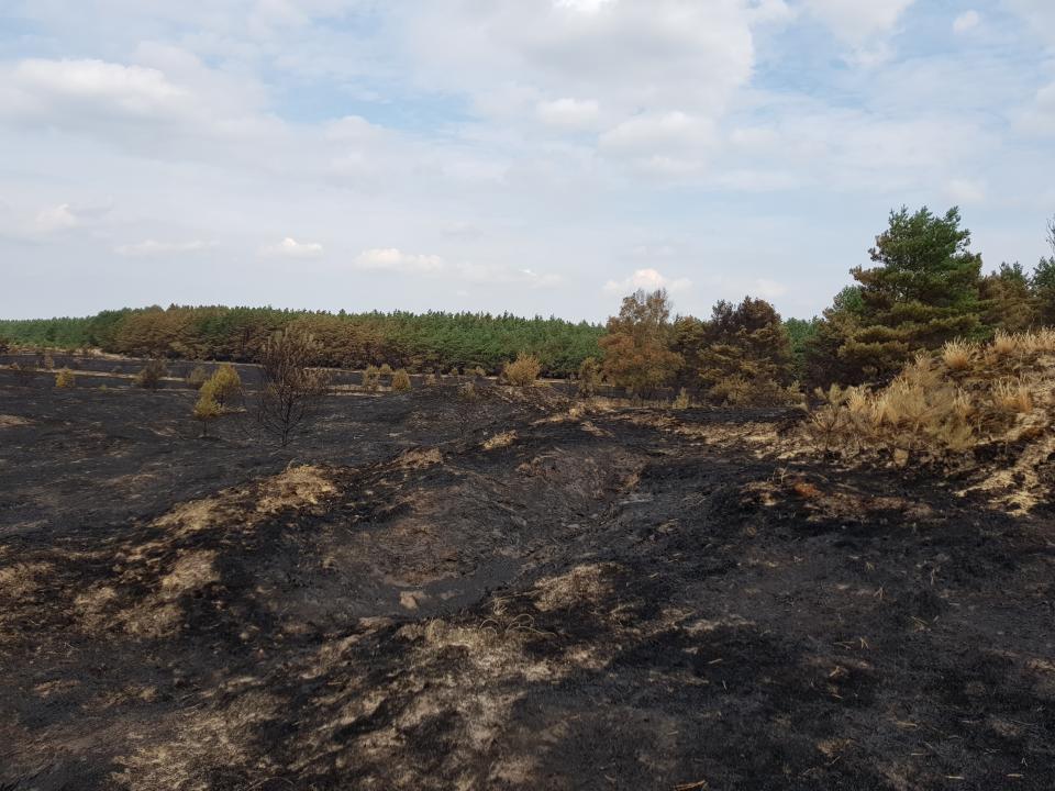 Weite Flächen wurden durch das Feuer zerstört – Brand Lübtheen 2019