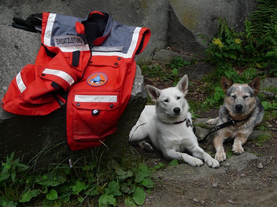 Vierbeiner und Mensch bilden ein eingespieltes Team in Rettungseinsätzen.